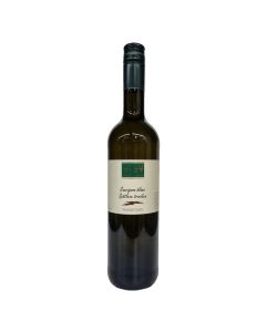 Sauvignon Blanc 2024